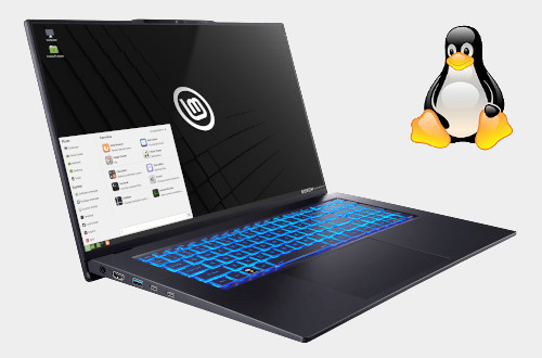 Image of laptop running Linux Mint XFCE, with Linux 'Penguin' Logo